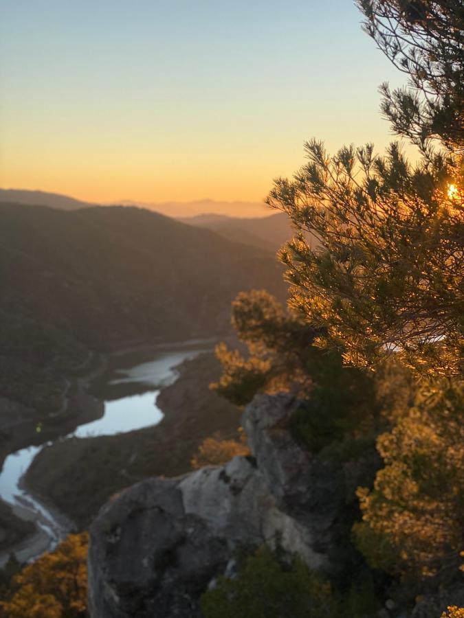 Apartaments Chenin Blanc-Priorat- كورنووديلا المظهر الخارجي الصورة